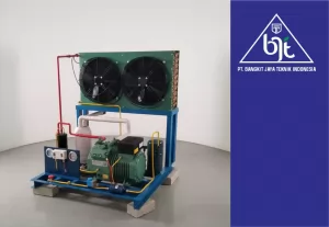 condensing unit cold storage machine custom BJT